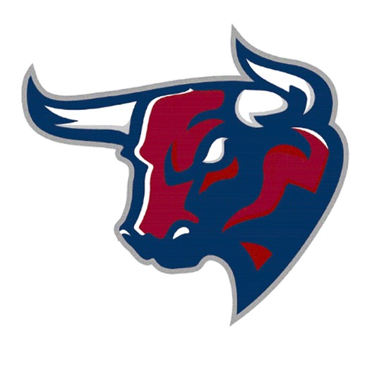 Basketball Recap: Sebastien Rodriguez Key Part of Team Effort in Bulls Win