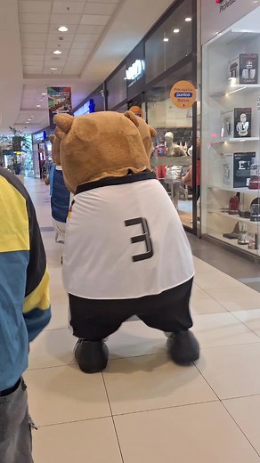 Capibaras at Plaza Norte Lima: Where to See Them in the Mall