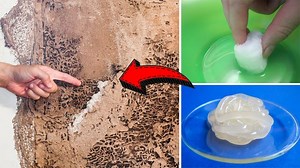 How to Get Rid of Termites for Good