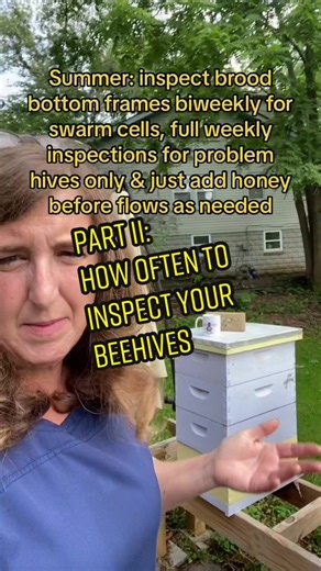 Replying to @franksbees Part II: How often should you inspect your #beehives? #newbeekeepers should go in weekly or biweekly to learn. #hiveinspections set back the #honeybees progress so otherwise #hiveinspection should be based on two things the season and the health of the #hive #thebeelady #beekeeping #beginnerbeekeeper #beekeepingtips #beekeepingeducation #beetok #beekeepingcommunity #beekeepingtiktok
