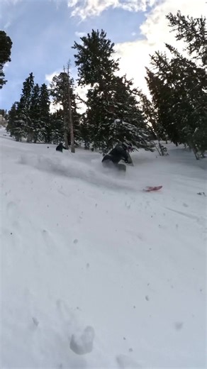 81 inches from this big storm! Summit Express opened this afternoon, thanks to all of the hard work from our patrol team. With high avalanche danger affecting much of our mountain, it takes a lot to get our terrain open safely. Thank you for your patience and understanding while we get things ready to ride. 🤘 ⛷️: Audrey Quirk, Ashley Lodmell, Marc Lodmell 🎥: GoPro #GoPro | Solitude Mountain Resort