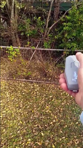 Dazer II - Using DAZER II anti bark device on to stop a barking dog