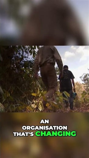 Cambodia's Hunters: From Poachers to Wildlife Protectors #shorts