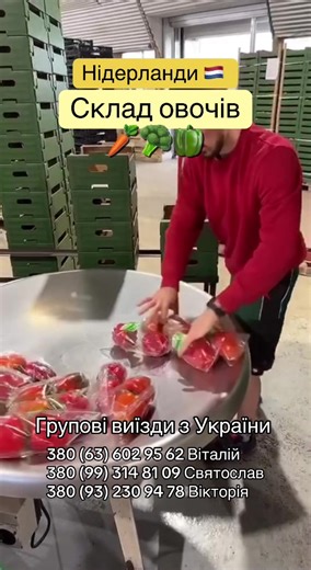 work.eur (@litva_work)’s videos with Get Dat - Rayelle