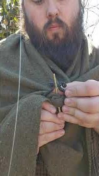 hand forged blanket pin demo