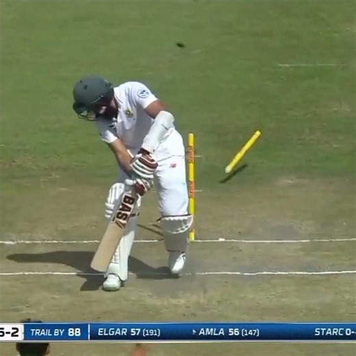 "Mitchell Starc Best Bowled Out Vs South Africa 🔥