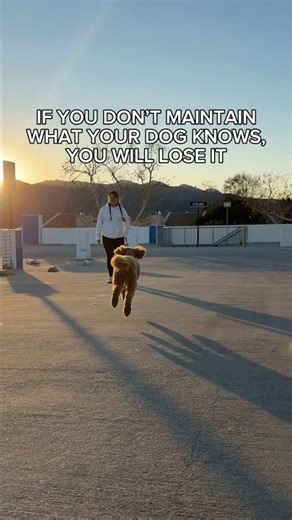 If you don’t use it.. you’ll lose it