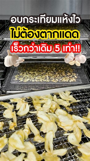 SGE (Spring Green Evolution) on Instagram