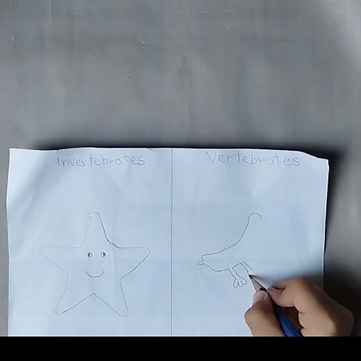 Easy Way to Draw Invertebrate and Vertebrate Animals