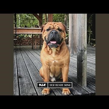 Der Hunde Song