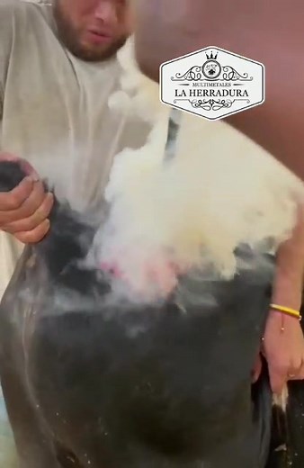 Marcas para ganado🤠 Contáctanos y síguenos en redes sociales como📱 ‼️Multimetales La Herradura ‼️ . . . . . #H#Hipicosm#marcasparaganadoN#NicaraguaH#Hondurasf#fierrosparaganadoM#MHC#Caballosg#ganadov#vacasv#viral#p#photoofthedayp#pueblosconencantop#photop#photographerp#photographyf#fotografoprofissionalf#fotografief#fotografoc#canonm50c#canono#ocotalv#vscoh#hipismoc#caballistasdecorazong#ganadoreso#ocotalnuevasegovian#nicaragua🇳🇮c#colonial2#2021l#likesforlikei#instagoodc#culturac#caballosv#v