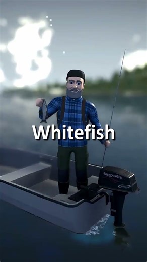 Plenty of fish in the lake. What is your favorite 🤔