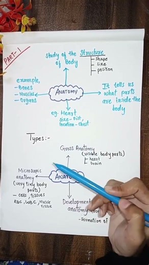 “Do you know what anatomy is? 🤔 | Simple explanation” Anatomy in Minutes