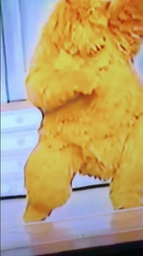 Bear in the Big Blue House Theme Song (Live Version)