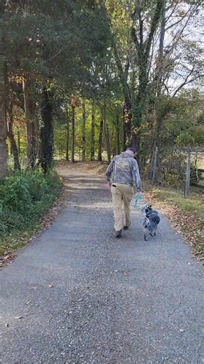 Dog training/behavior modification is not always easy. If it was, everyone would do it. As a cattle dog, Jace has a huge prey drive. What we've found that redirects as well or better than some our tools, is his saying name, "Jase"!. During this walk, Jase maintained a whole lot of eye contact with Lenny using his name despite other dogs barking at him😉💪. . . . . #Jase #cattledogpuppy #herdingbreed #thewalk #preydrive #richmonddogtraining #rvaboardandtrain #btk9 #breakthroughk9training | Breakt