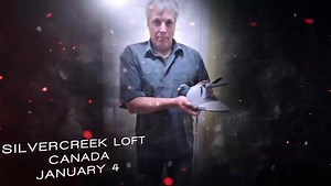 IT’S HERE!!!!! Feathers Elite Pigeon Auctions is pleased to present you with our Season 2 Flight 2 auction line up including our first ever CANADIAN breeder!! Online auctions begin on January 4th only at www.FeathersElitePigeonAuctions.com #2020isgoingtobeepic | Feathers Elite Pigeon Auctions