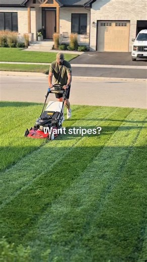 OFFTHELAWNSTORE on Instagram: "Links in bio! #lawn #grasslawncare"