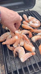 Fresh Alaska spot shrimp (prawns) smoked then sautéd in butter with garlic for shrimp tacos 🌮 Get ahold of Tanner's Alaskan Seafood where I picked these tasty crustaceans from. The best! 😋🌮🤠 Beach life Alaskan style! ￼ | Alaska Outdoors Television