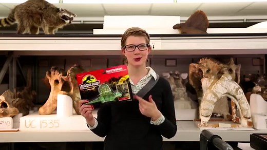 Dimetrodon Facts & Pictures | Science Facts