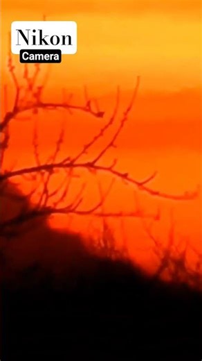 Sonnenaufnahme mit der Nikon Kamera #nikon ‪@NikonEurope‬