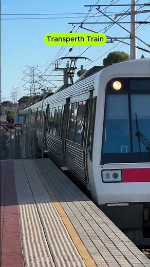 Transperth Train