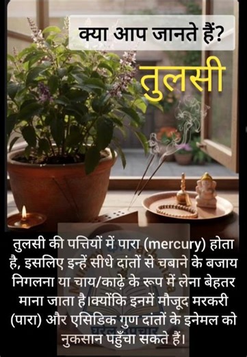 tulsi ke fayde#mercury# tulsi ke patte#basil leaves#lyrics #tranding