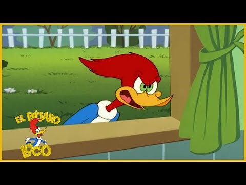 El Pájaro Loco Episodio Completo | K-9 Woody-0 | Dibujos Animados | Caricaturas