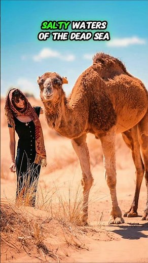 The Camel That Drinks The Dead Sea 🤯 #shorts