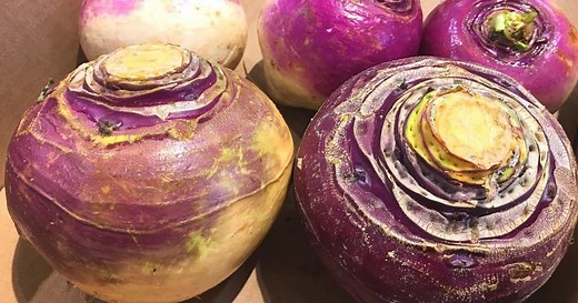 Turnip vs Rutabaga