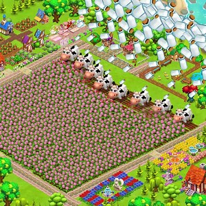 Royal Story on Reels