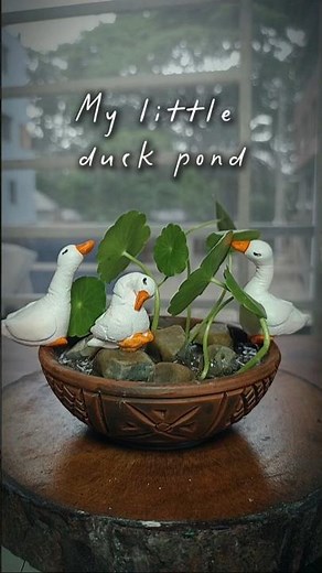 DIY Miniature Duck Pond.
