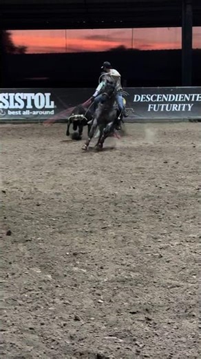 TRM Team Roping Mexico 2025
