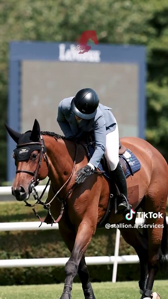 Stallion AI Services on TikTok