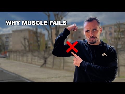 Big Guys Get Knocked Out In Street Fights Like This