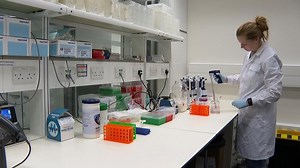 Could humans live forever?