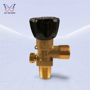 [Hot Item] Zx Rpv Valve 166.7bar 200bar 17e W21.8 for CO2 Residual Pressure Valve Tped Pi Certified