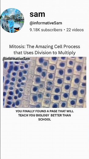 What is Mitosis | #brainlearning #medicaleducation #humananatomy