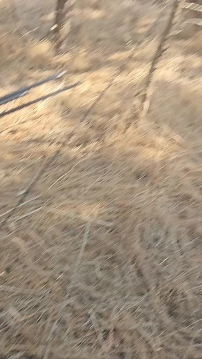 122 reactions · 23 comments | 3d target, I've been shooting with my ash hybrid 25 I never takes videos of my hits , i guess it doesn't mean to me so much as the shooting itself but since some of you asked really nicely.. I've made this one for you Shabat shalom, have a peacfull weekend and a lot of bow time | Keren Archeress | Facebook