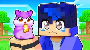 【Aphmau】在 Minecraft 中扮演可爱的仓鼠！--