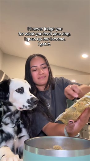 Sandra Macedo & Ryder on Instagram: "I subscribe to the idea of “feed the highest quality food you can afford” regardless of what that is. Growing up my family could and would only feed large bags of kibble from Sam’s Club. I don’t even feed kibble yet I can’t stand kibble shaming ESPECIALLY from brands that use it as their main marketing strategy. As a kid I dreamed of being able to spoil my childhood dogs as much as I spoil Ryder so tbh sometimes it makes me emotional. Today’s dinner is @openf