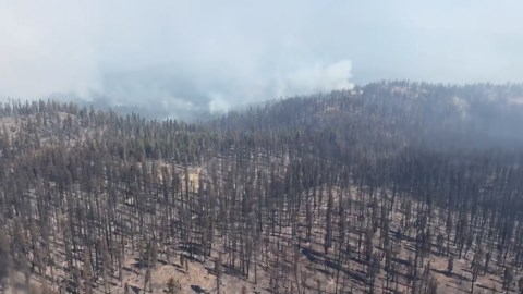 The Garnet Fire burned through the Teakettle Experimental Forest