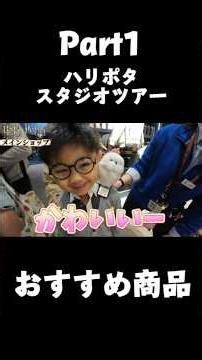 初心者でも120%楽しめる！ハリーポッタースタジオツアー🪄 #ハリーポッター#HarryPotter#スタジオツアー#ハリーポッタースタジオツアー#ワーナーブラザーススタジオツアー