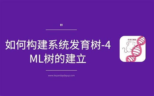 如何构建系统发育树4-ML树的建立