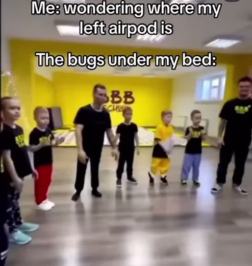 The boogie bugs #bug