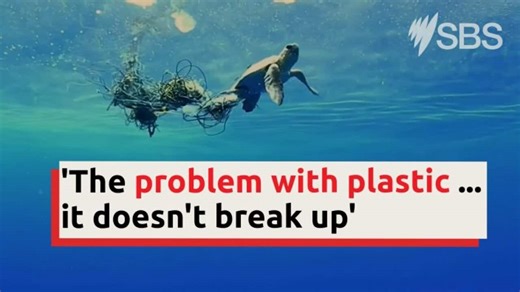 Tackling the plastic waste threat in the Pacific Ocean