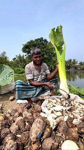 7.8M views · 44K reactions | Amazing fish feeding making complete process | Fish feed. | MBrother | Facebook