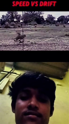 cheetha vs cheetha #vairal #animals #video #sot ///