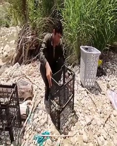 Roaring River Fishing is a unique and creative way to go fishing while traveling around and exploring different places #nomads #life | Amacaw TV