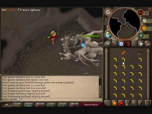 Runescape Corporeal Beast Guide