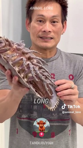 Giant Isopod: Fascinating Deep-Sea Scavengers Revealed